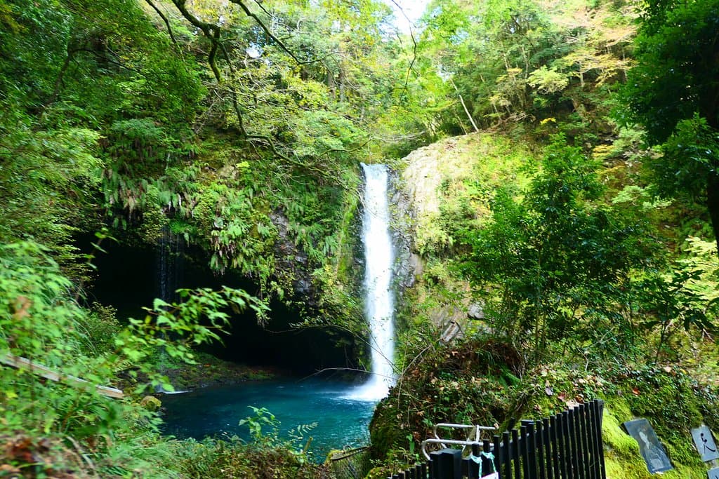 これが浄蓮の滝です。日本の滝100選にも選ばれてる滝です。