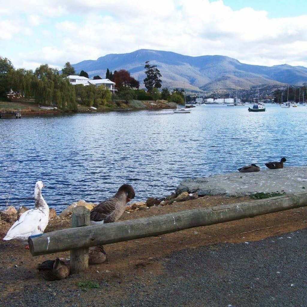 Geilston Bay Reserve