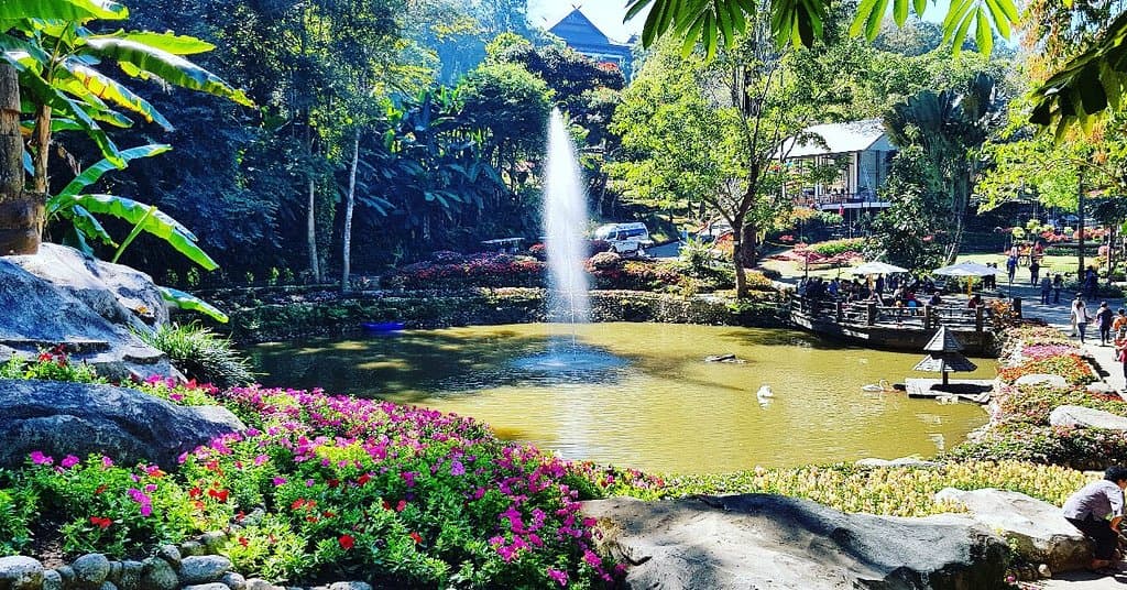 Doi Tung Viewpoint