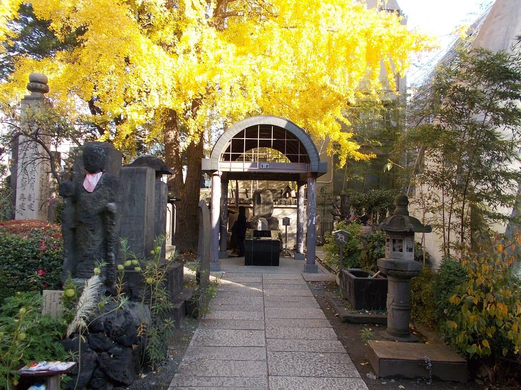鼠小僧の墓と銀杏
