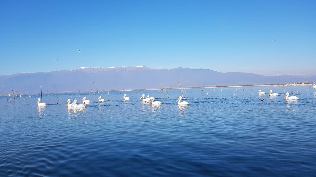 Λίμνη Κερκίνη!