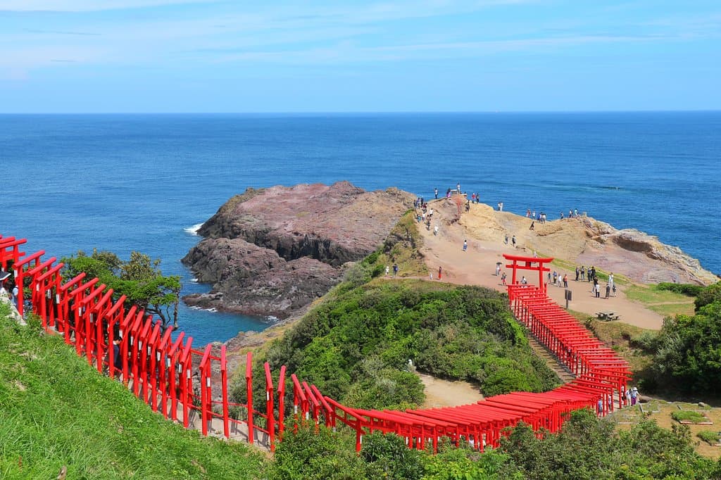 上から撮影