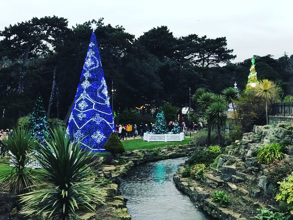 Christmas Tree Wonderland