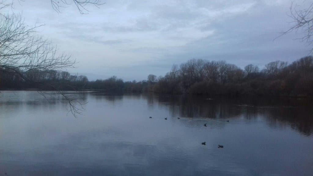 A beautiful walk with wildlife to match