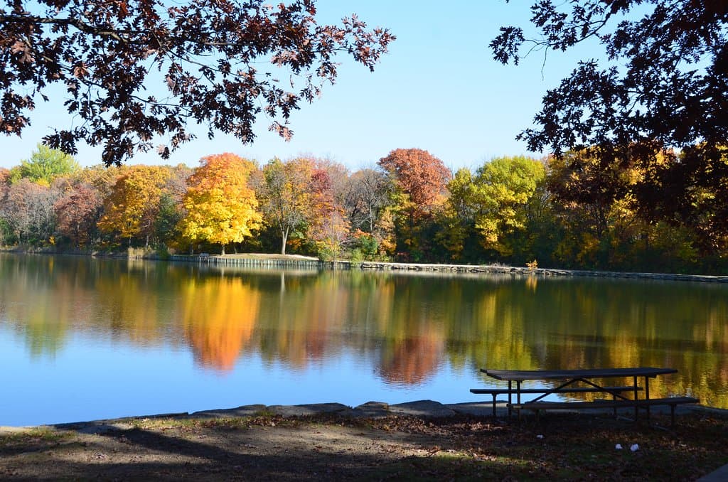 Herrick Lake and that gorgeous maple