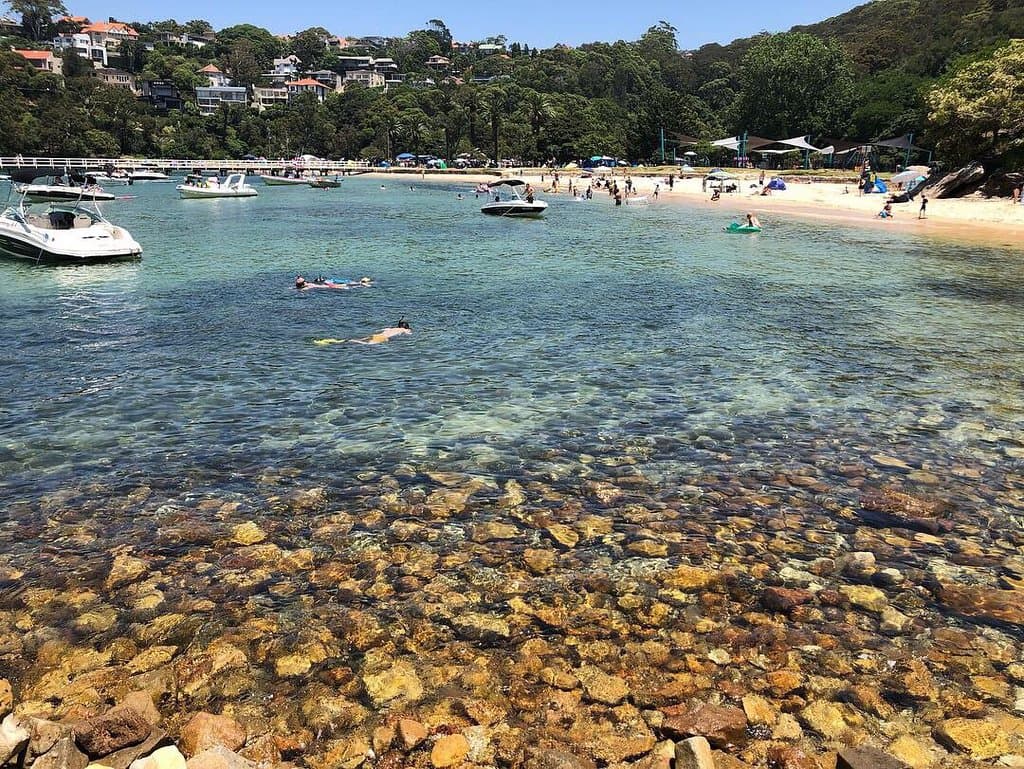 Clifton Gardens Reserve