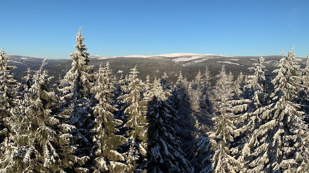 Žalý Lookout Tower