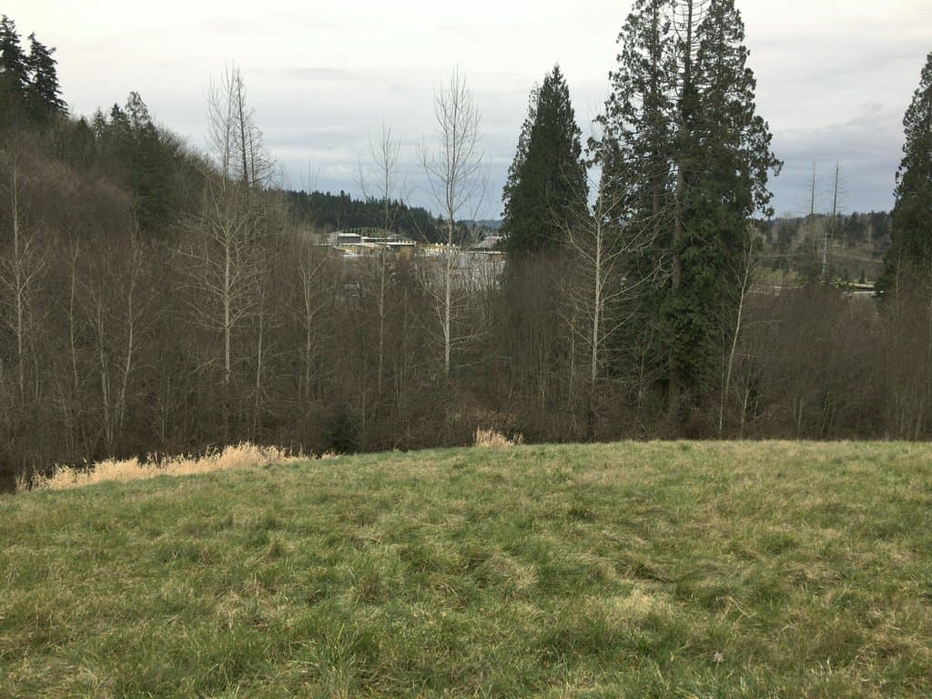 View from summit at North end of park