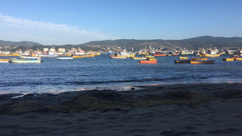 Hermosa bahía en los morros. Frente a dichato, se encuentra este pueblo de pescadores, donde puedes disfrutar de una buena caminata por las dos pequeñas playas de la bahía y bañarte en sus tranquilas aguas. Un espacio desconocido para muchos a pasos de Concepción y tomé.