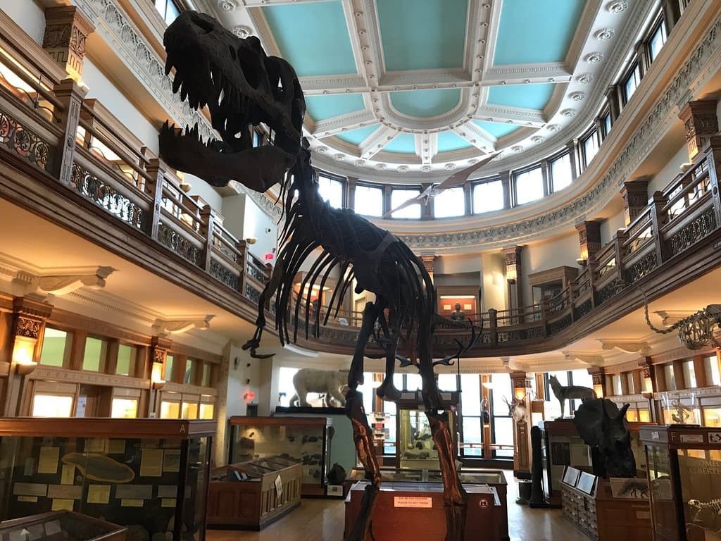Redpath Museum