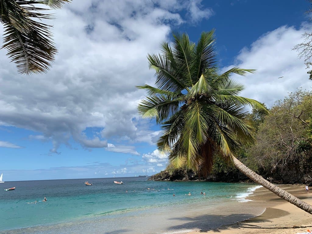 Anse Noire Beach