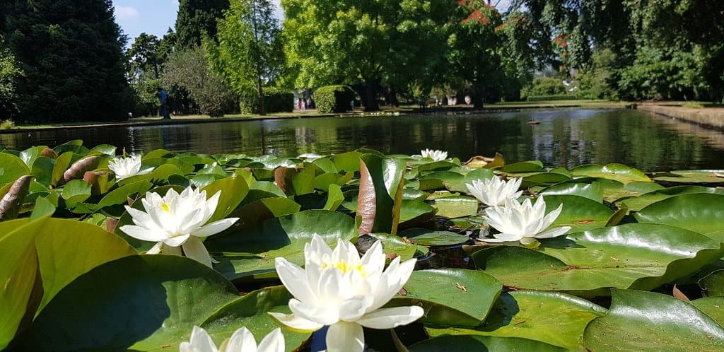 Salmon Ponds Heritage Hatchery and Gardens