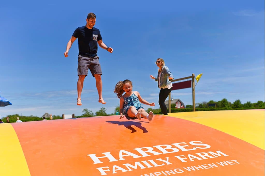 The Jumbo Jumpers bounce pillows in Harbes Barnyard Adventure.