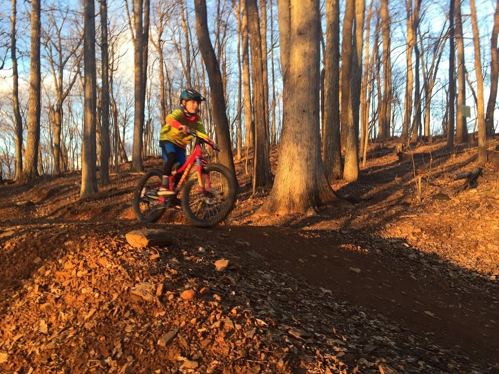 Rocky Knob Mountain Bike Park