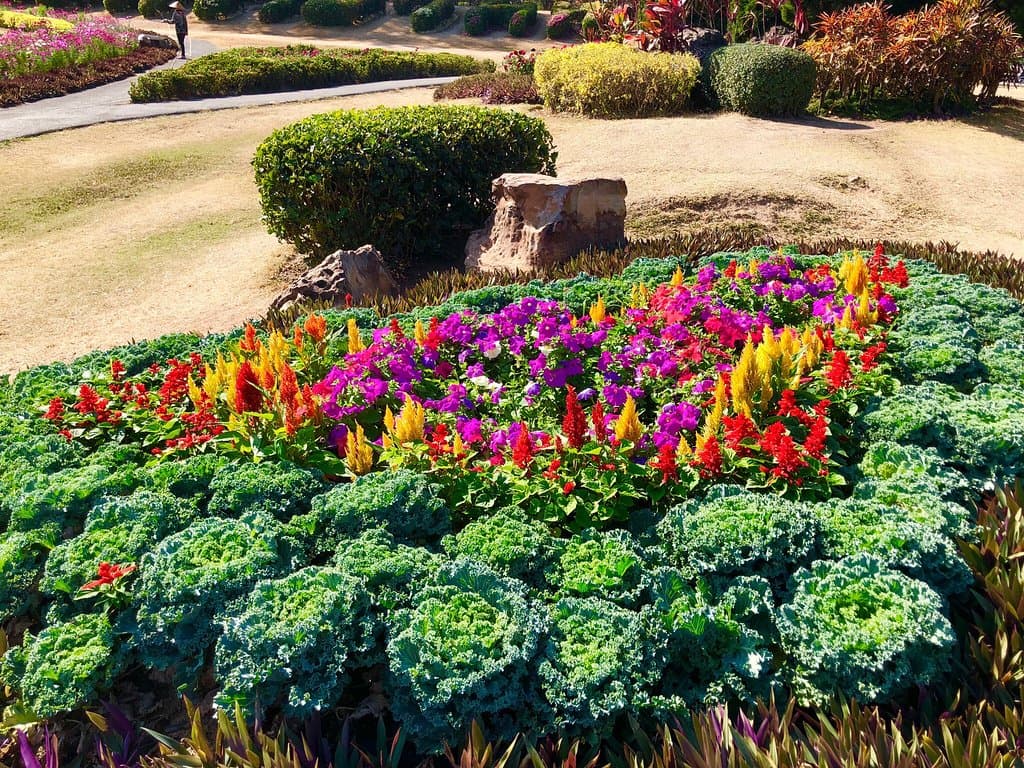 Phu Foi Lom Forest Park