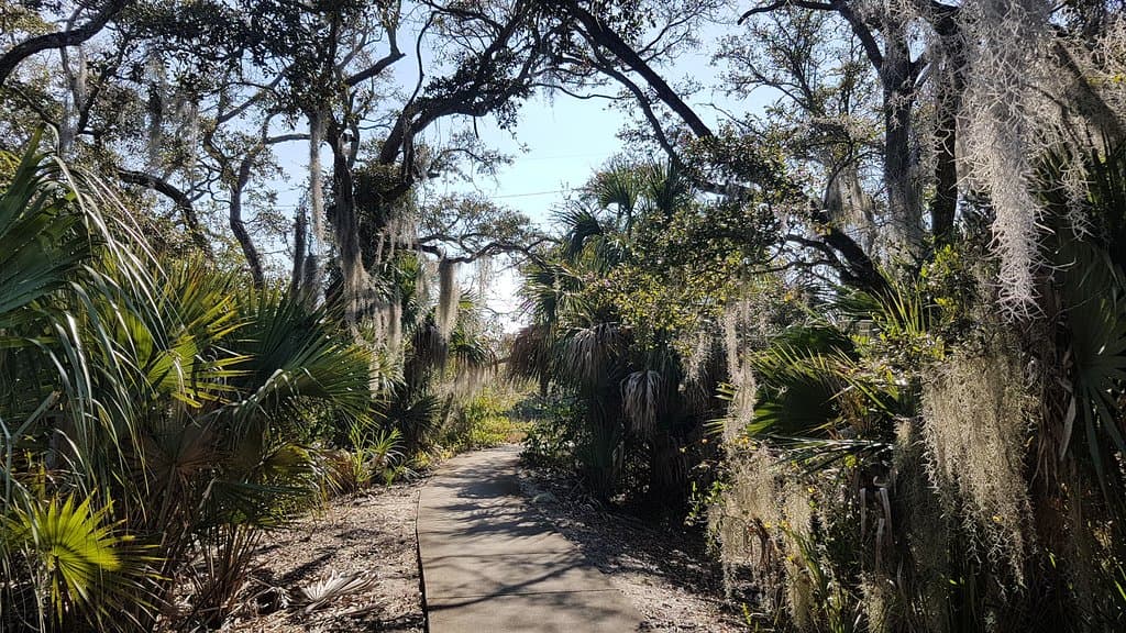 Great walkways
