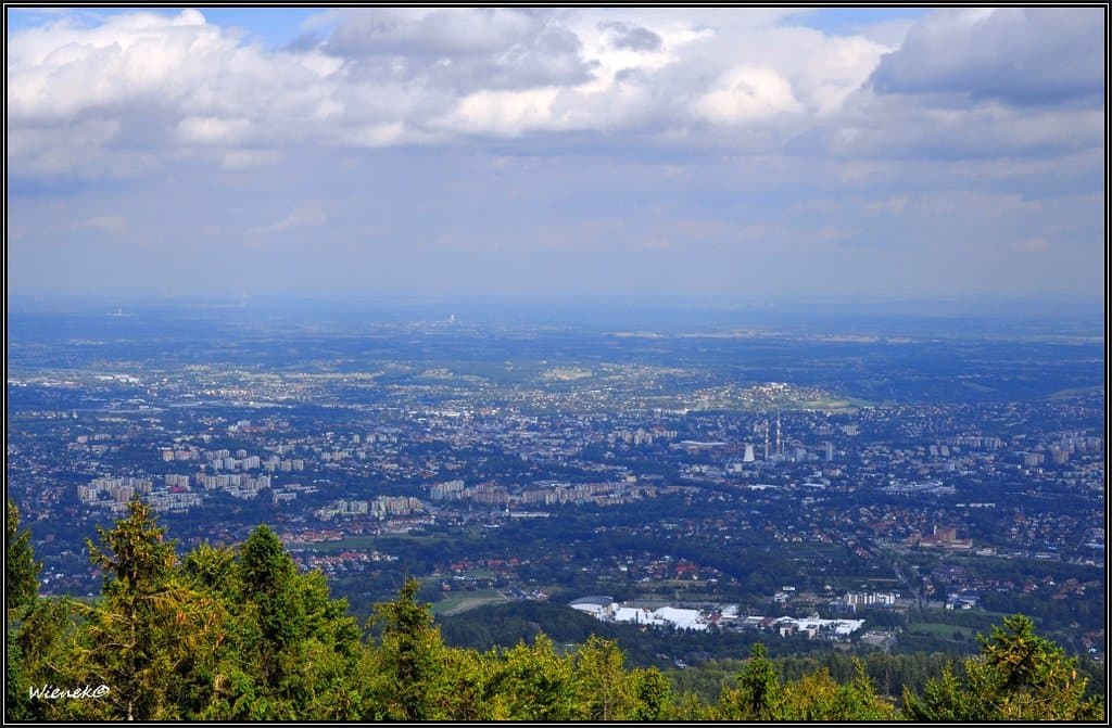 Widok z wieży