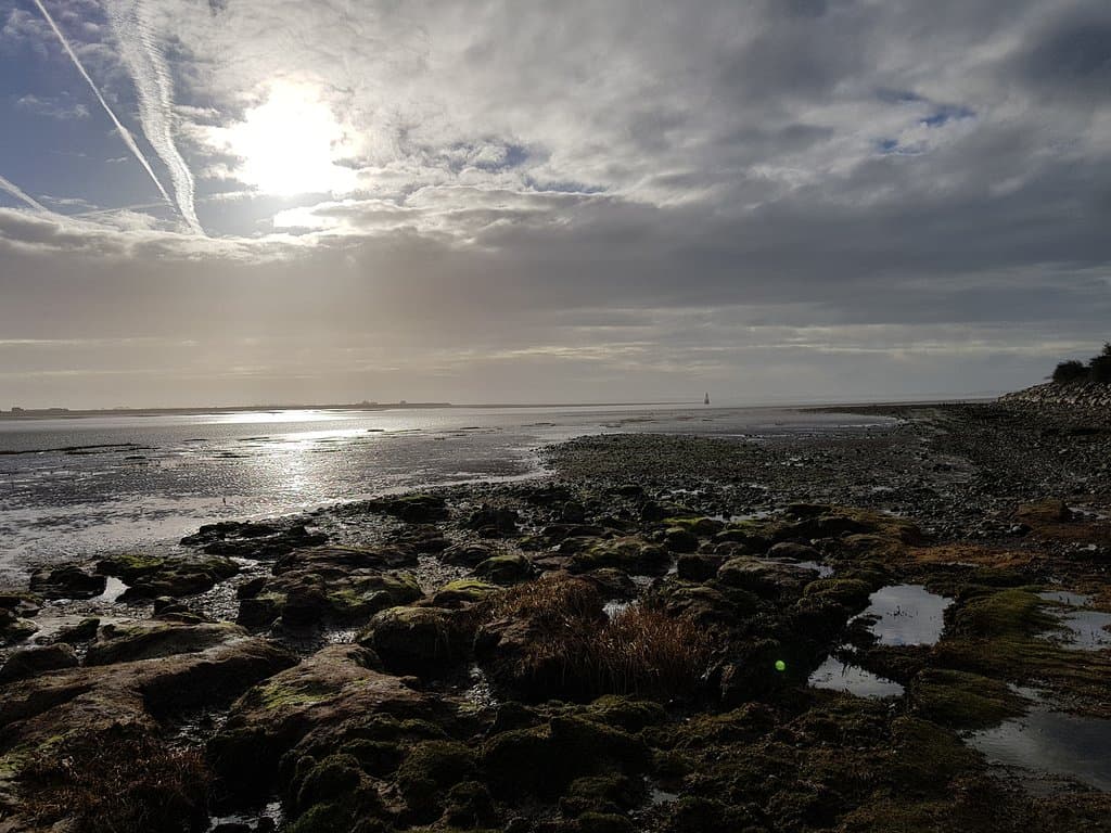 Shoreline near Sambos Grave