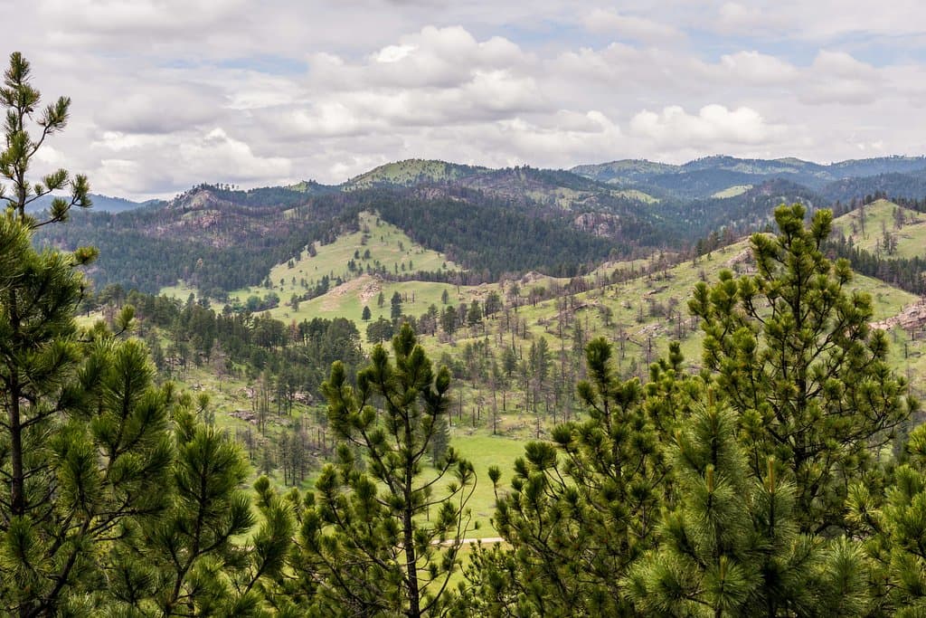 View of the Black Hills to the West