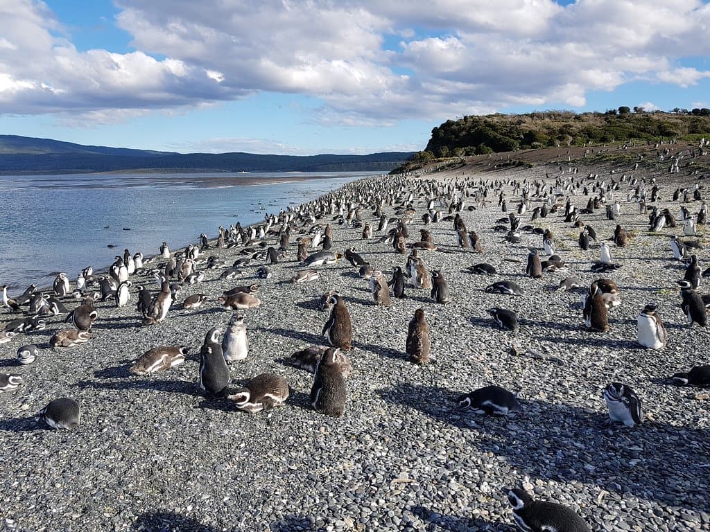 Vista na ilha.