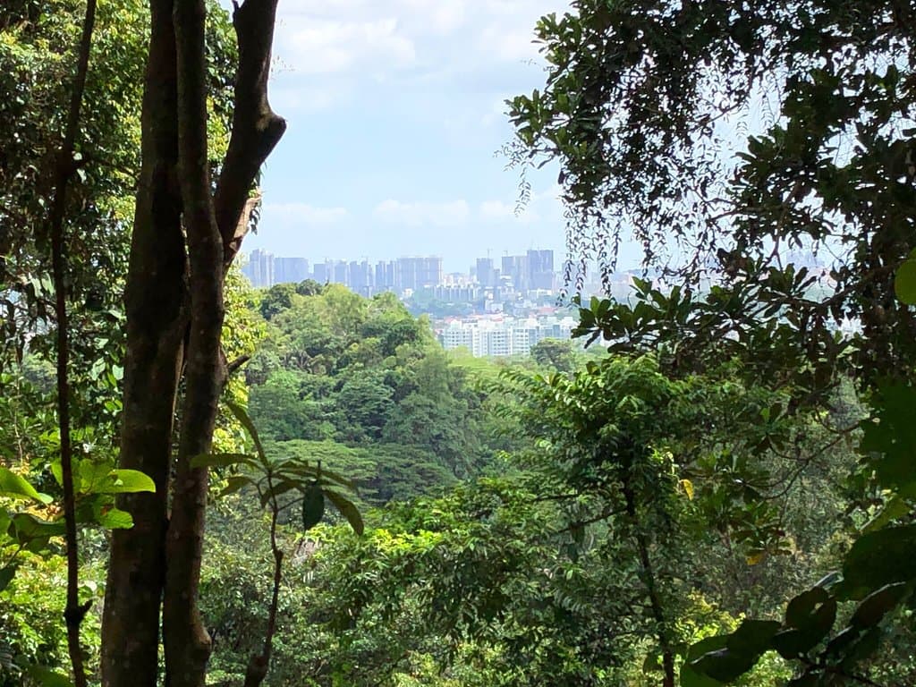 Bukit Timah Nature Reserve Singapore
