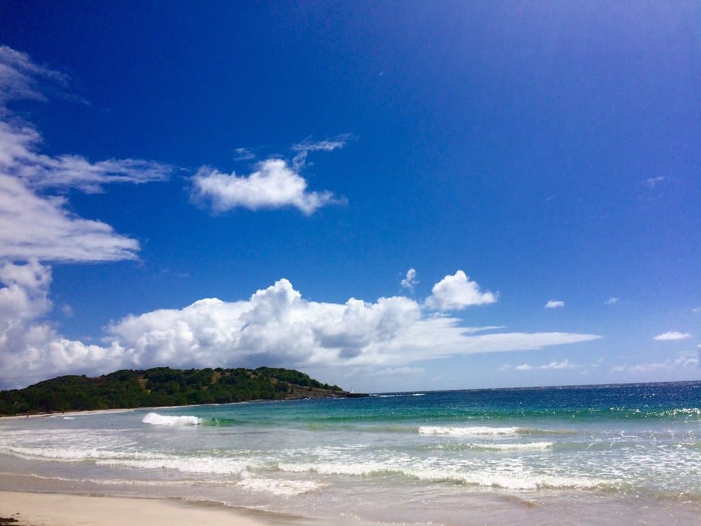 Savane des Pétrifications