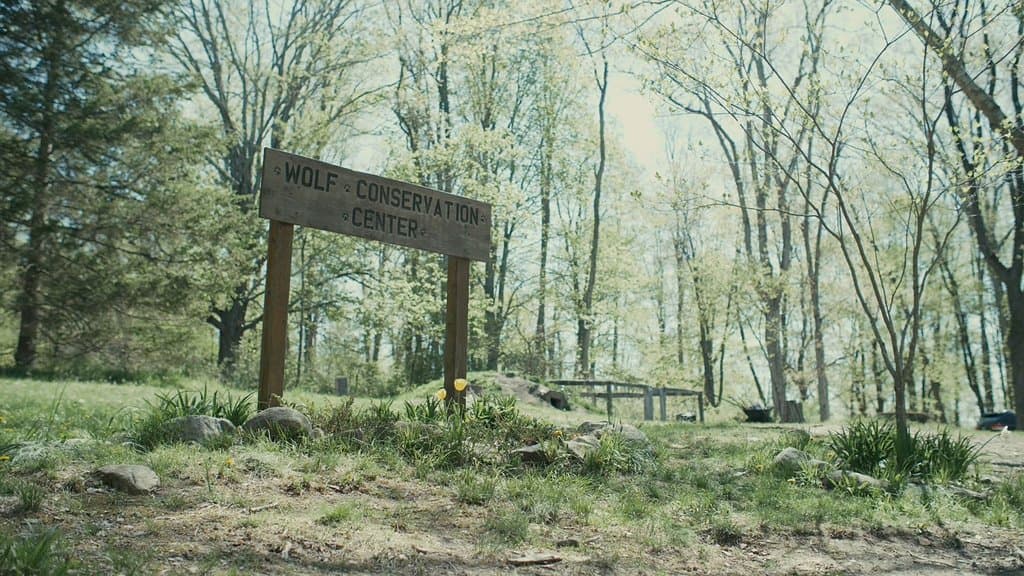 Welcome!