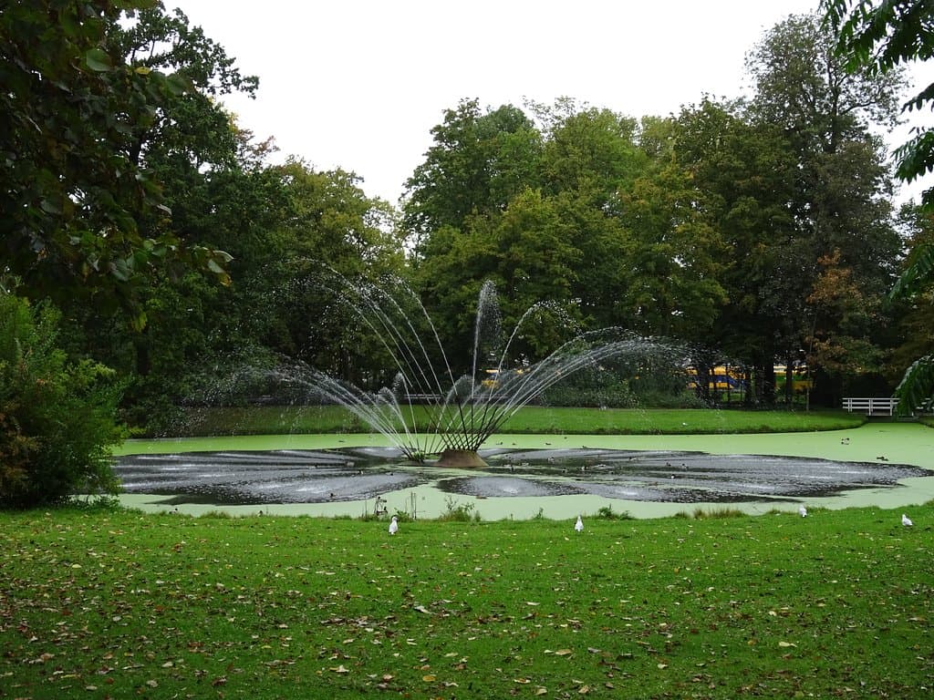vijvers in Weizigtpark