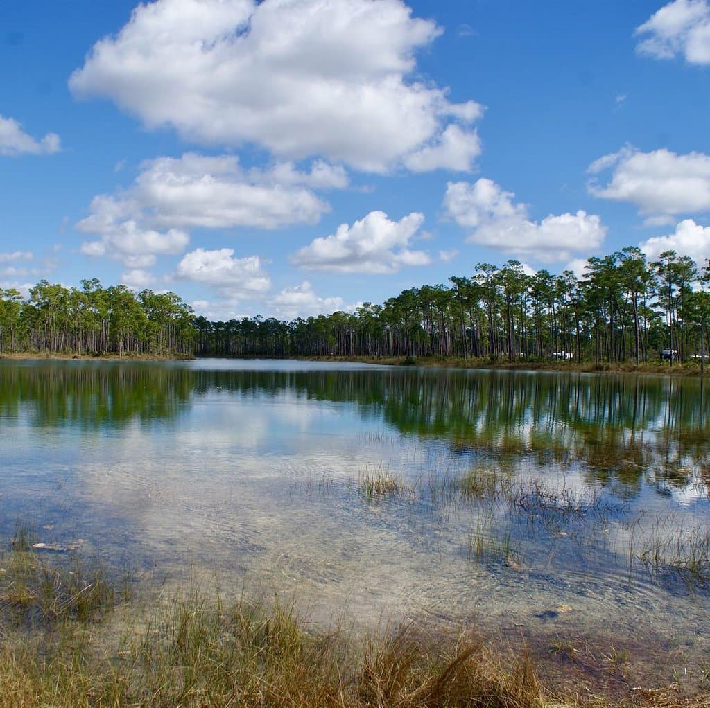 Everglades National Park