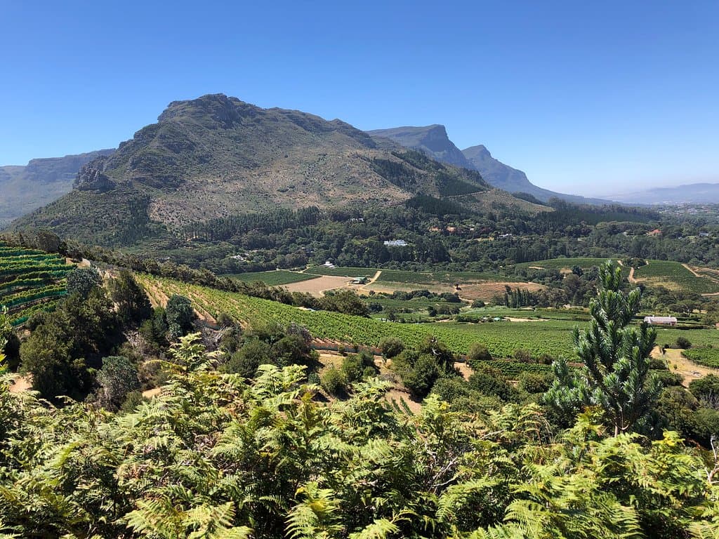 One of the gorgeous vistas on the Eagles' Nest Wines vineyard tour.