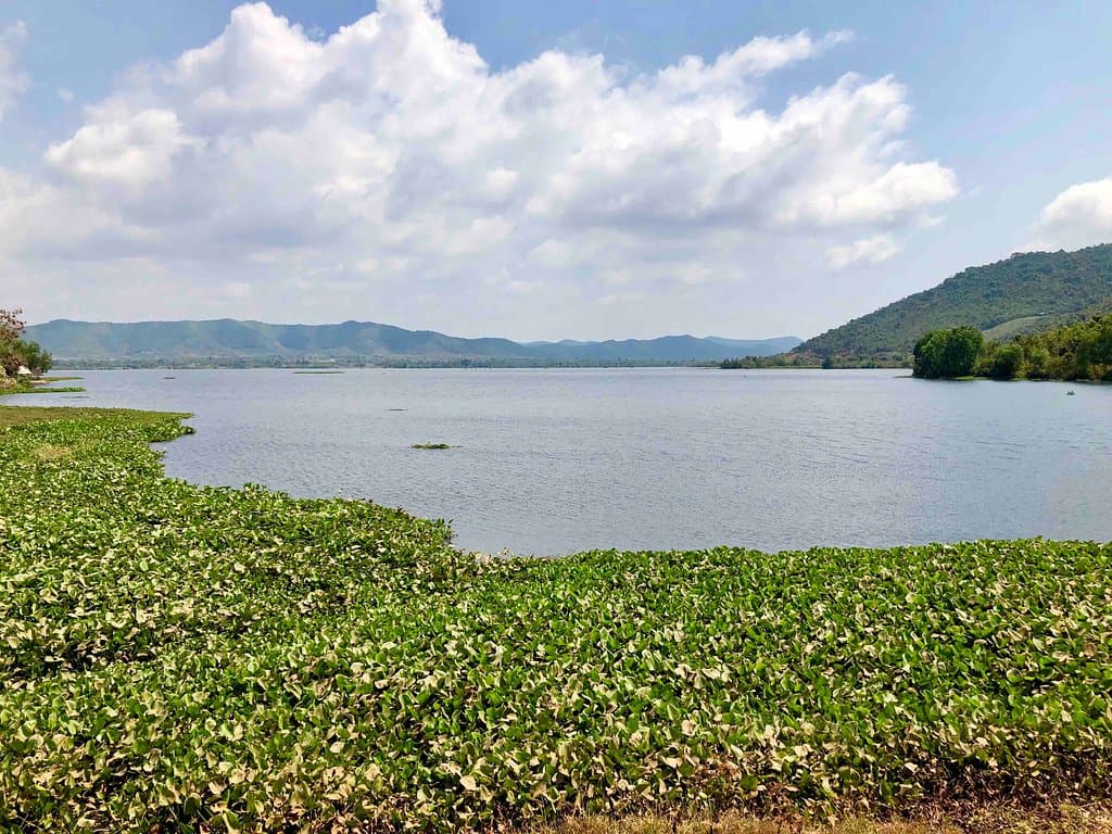 Brateak Krola Lake 16