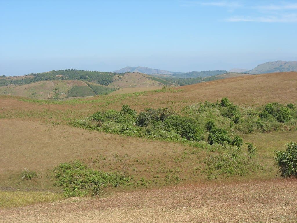 View on the way