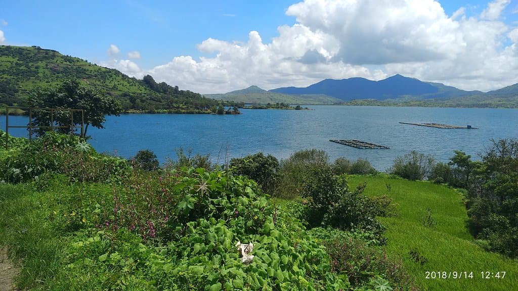Pawana Lake
