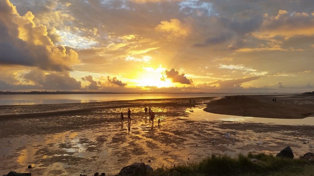 Sunset over Waterloo Bay at low tide