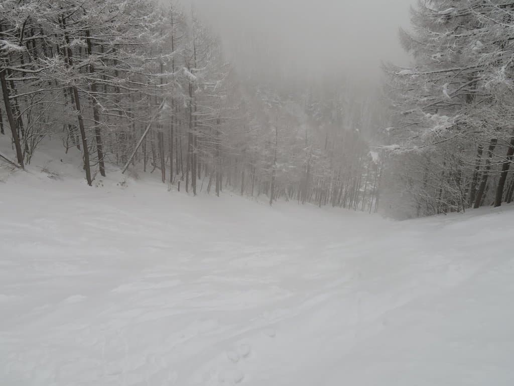 ゲレンデの様子