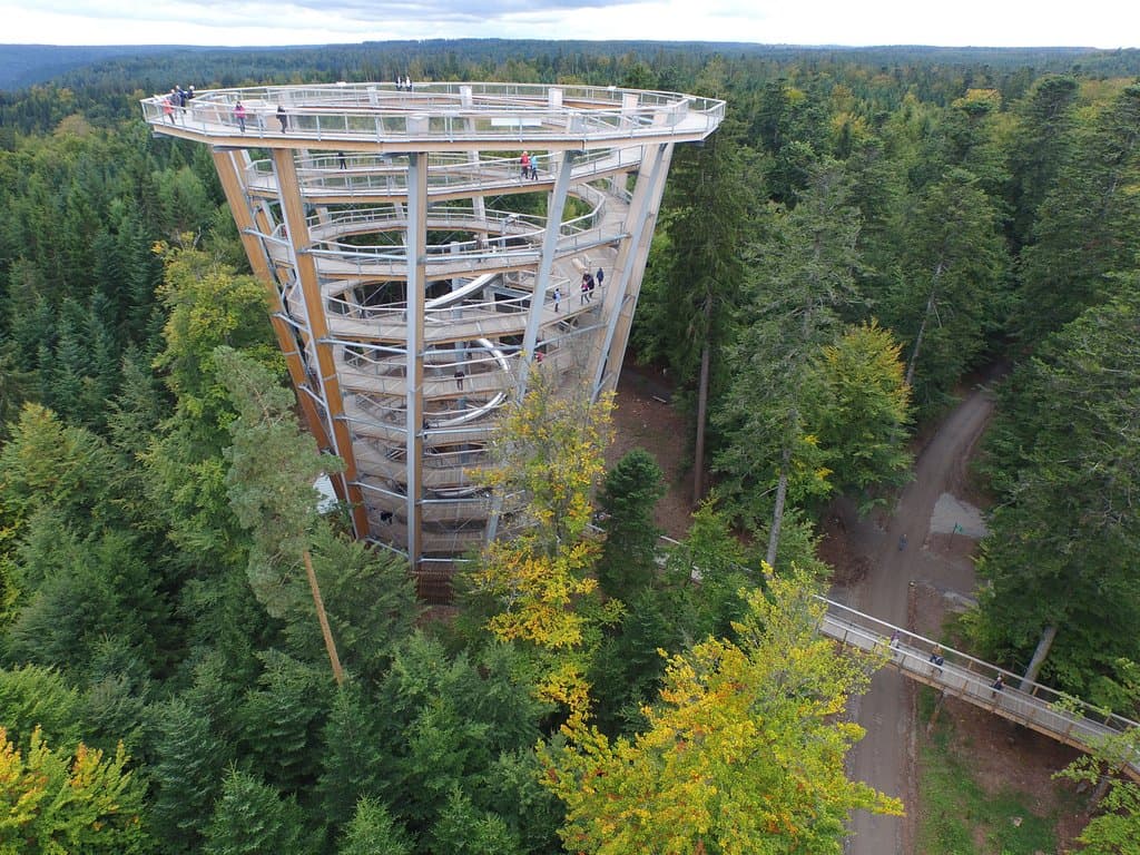 Baumwipfelpfad Schwarzwald - Dem Schwarzwald auf Augenhöhe begegnen.