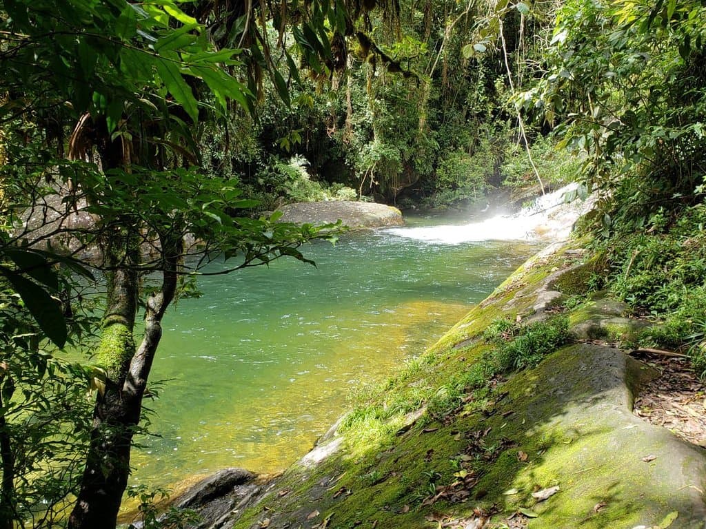 Poção do Marimbondo Maringá