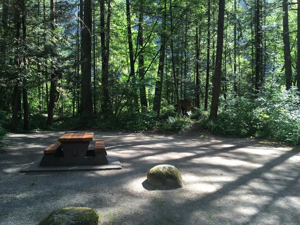 Just one of our beautiful 35 campsites on a sunny day!