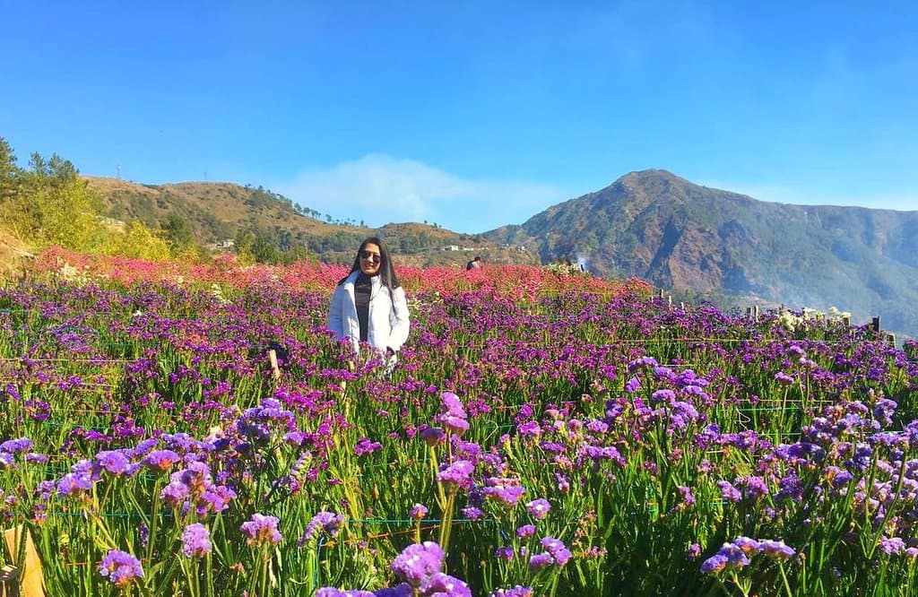 Northern Blossom Flower Farm
