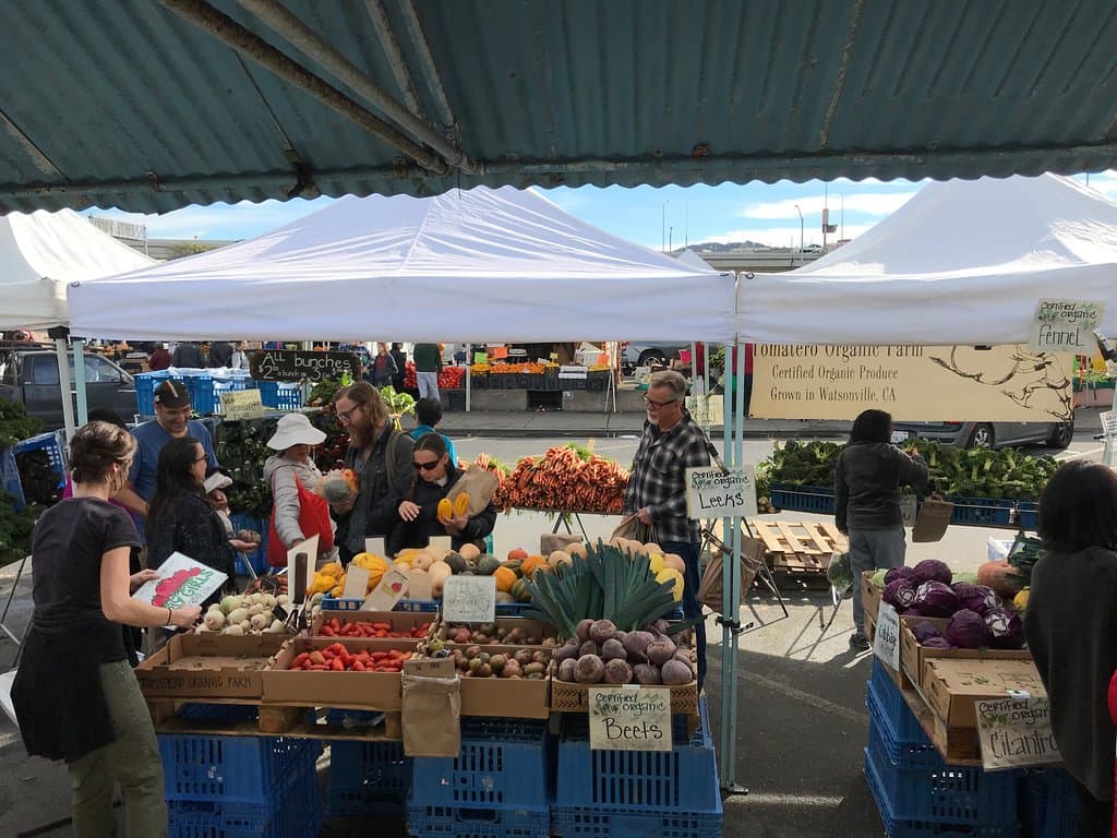 Always lots to choose from at Tomatero Organic Farm