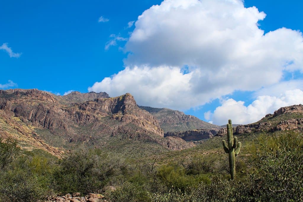 View of the Superstition Mountains from the trail. 
