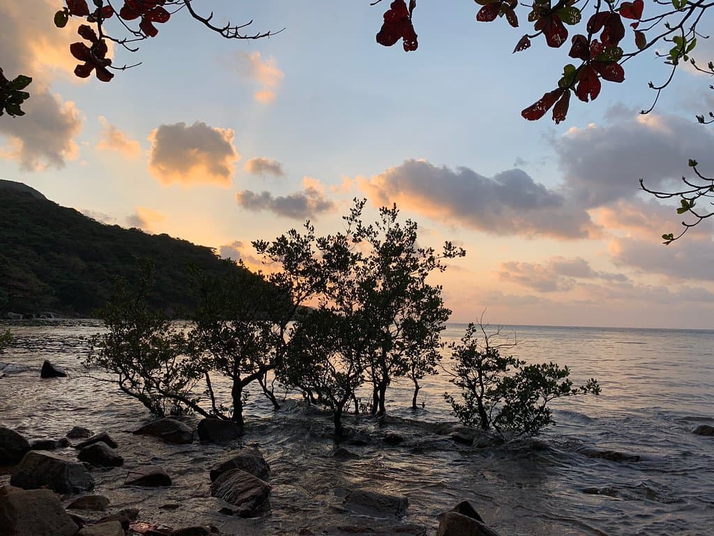 Con Dao National Park