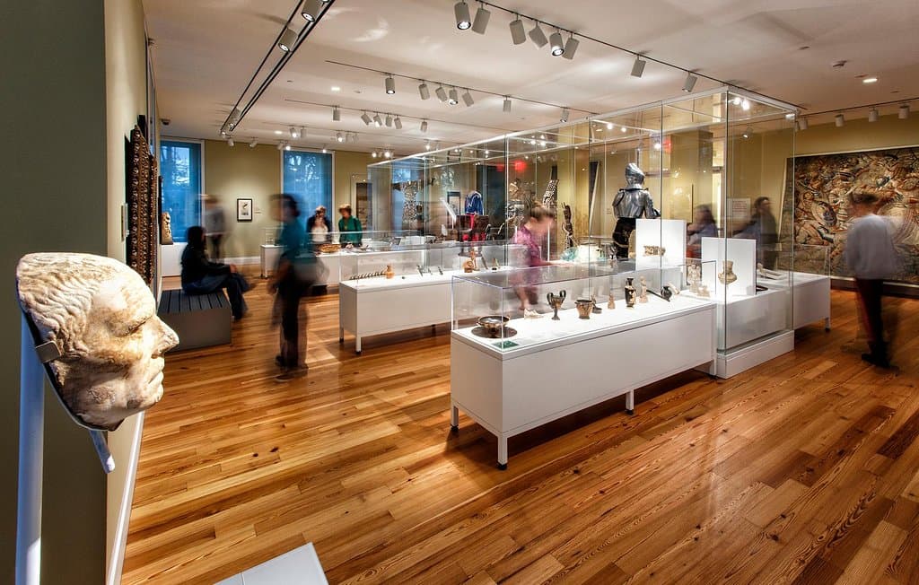 Explore the Staten Island Museum