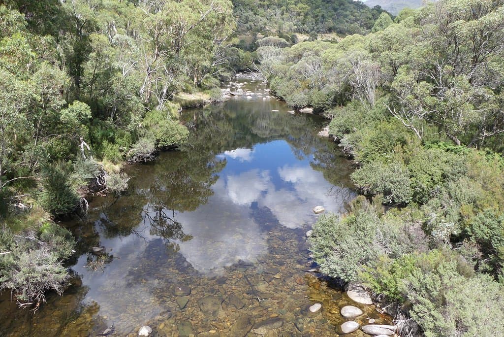 along the MTB track