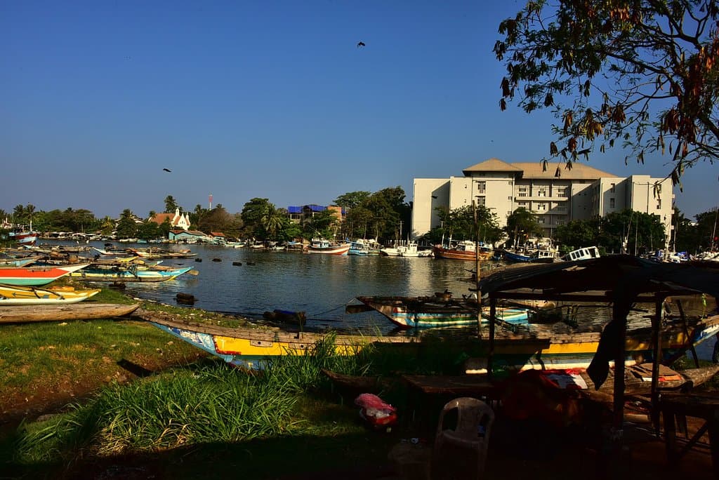 Negombo Fish Market Lellama