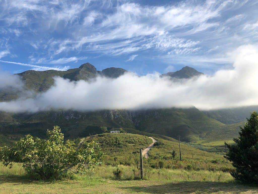 Stunningly beautiful