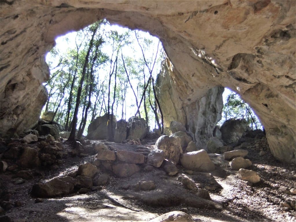 L'ingresso