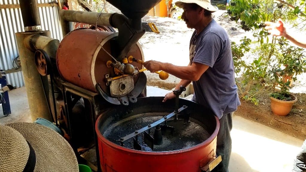 El Toledo Coffee Tour Atenas