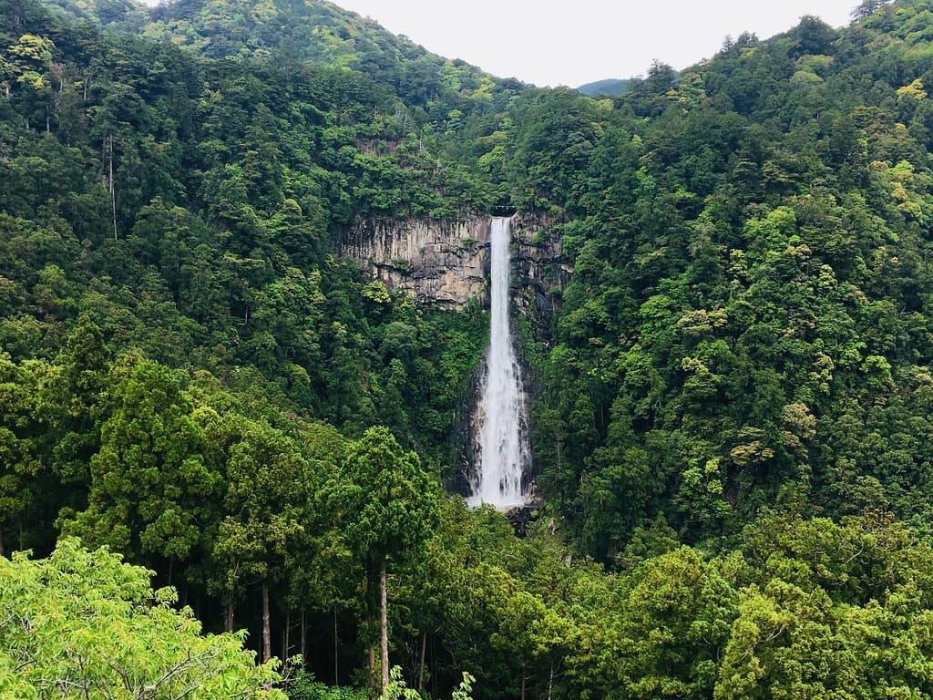 遠目からの景色