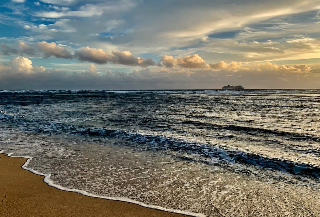 Waihee Coastal Dunes and Wetlands Refuge